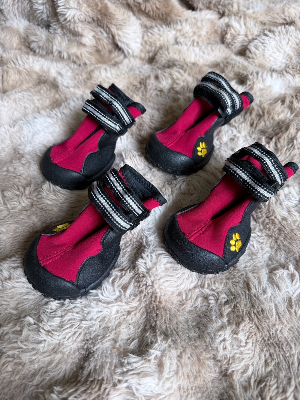 Dog Boots Size 5 Waterproof Paw Shoes Set of 4